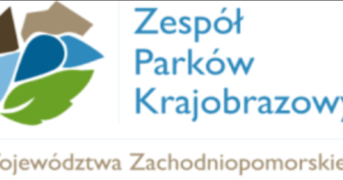 Wiosenna Gra Terenowa