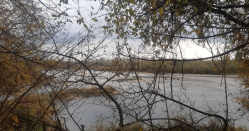 Wspólny Las / Opowieści nadwiślańskiego łęgu / Turystyka bliżej natury