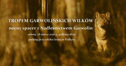 Tropem garwolińskich wilków - nocny spacer z Nadleśnictwem Garwolin