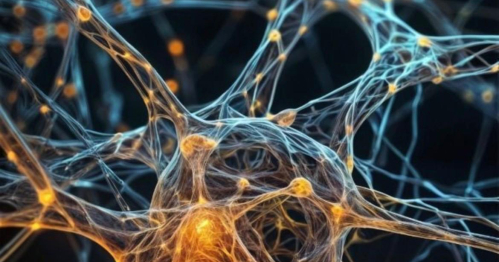 Luksus spokoju - jak naturalnie zadbać o swój układ nerwowy.