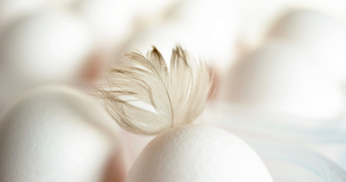 Warsztat: "Pisanki kimekomi"