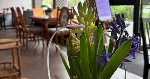 Premierowe spotkanie autorskie z Kasią Wierzbicką