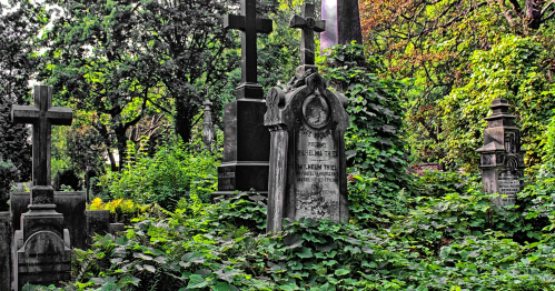 19.04.2026 (niedziela) - 13:00 - Nisi Religio - Umbra et Nihil. Wizyta na Cmentarzu Ewangelicko - Augsburskim. [Spacer]