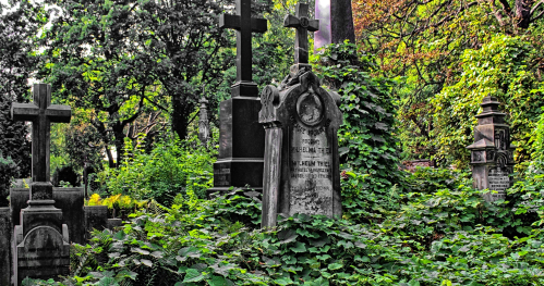 19.04.2026 (niedziela) - 13:00 - Nisi Religio - Umbra et Nihil. Wizyta na Cmentarzu Ewangelicko - Augsburskim. [Spacer]