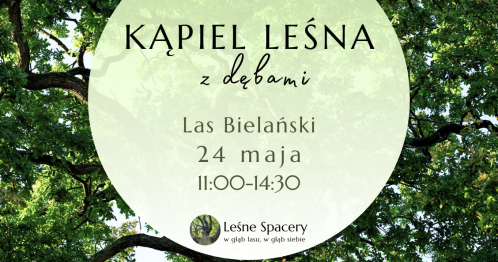 Leśna kąpiel z dębami. Leśne spacery. W głąb lasu, w głąb siebie.