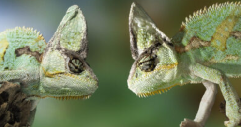 Od konfliktu do rozmowy. Komunikacja transformatywna w praktyce