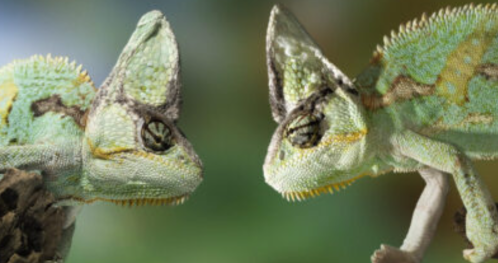 Od konfliktu do rozmowy. Komunikacja transformatywna w praktyce