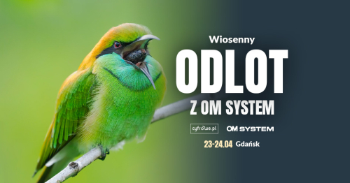 Odlot z OM System - Wildlife w Gdańsku