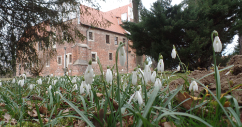 WOJNOWICKI KLUB DYSKUSYJNY: Spotkanie z Profesorem Andrzejem CHWALBĄ