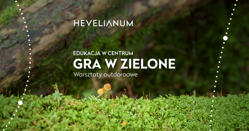 Gra w zielone - bezpłatne szkolenie dla nauczycielek i nauczycieli