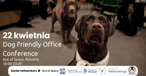 Dog friendly office conference Wrocław