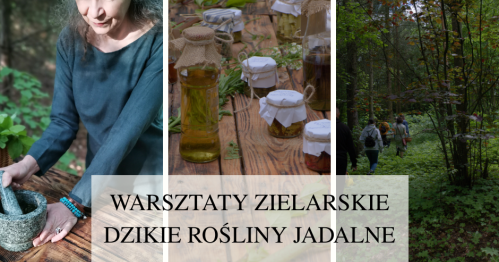 Warsztaty Zielarskie - Dzikie rośliny jadalne 10.05.2026