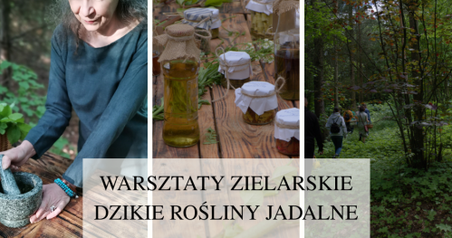 Warsztaty Zielarskie - Dzikie rośliny jadalne 10.05.2026