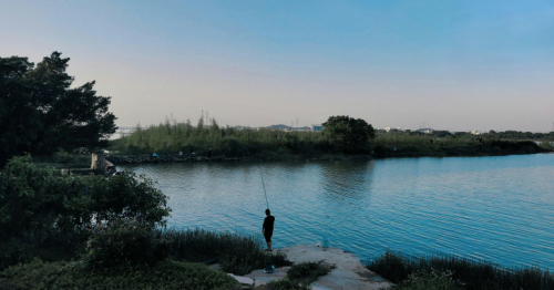 Spacer z leśniczką po lasach Nadleśnictwa Rybnik