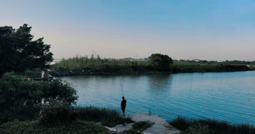 Spacer z leśniczką po lasach Nadleśnictwa Rybnik
