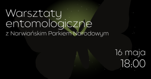 Warsztaty entomologiczne z Narwiańskim Parkiem Narodowym  | Noc Muzeów w KLANZIE