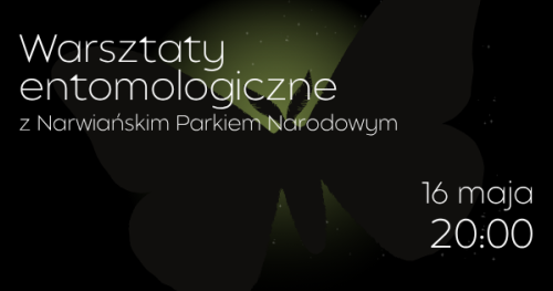 Warsztaty entomologiczne z Narwiańskim Parkiem Narodowym (20:00)  | Noc Muzeów w KLANZIE