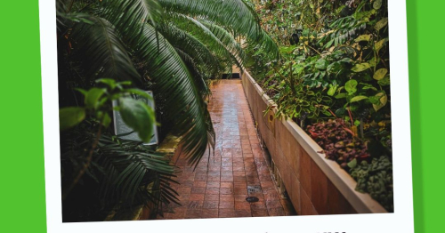 IgersWarszawa Instameet Ogród Botaniczny UW