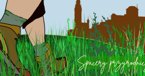 Nietoperze w twojej okolicy