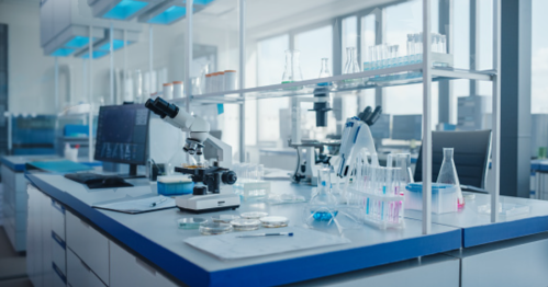 ŚRODA W DAWIDZIE - 27 MAJA 2026 GRUPA 4-8