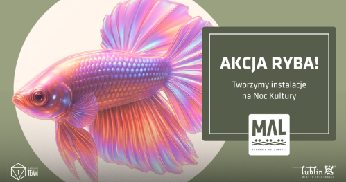 Akcja Ryba! Tworzymy instalacje na Noc Kultury