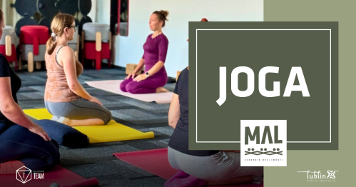 Joga