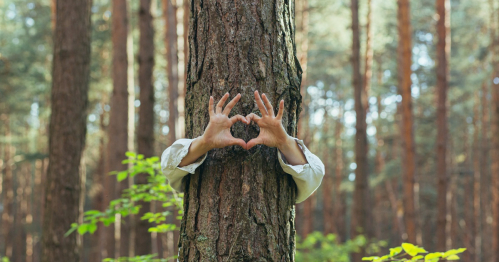 Kąpiel leśną (Shinrin-yoku) - zielona terapia dla ciała i umysłu.