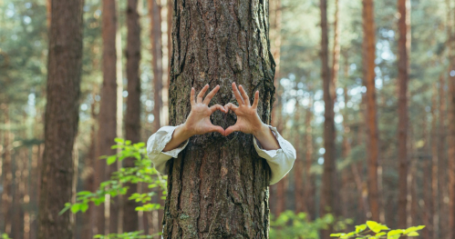 Kąpiel leśną (Shinrin-yoku) - zielona terapia dla ciała i umysłu.