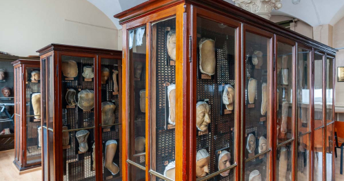 Noc Muzeów w Muzeum Mulaży Dermatologicznych 2026