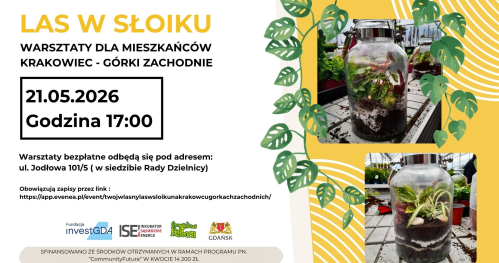 Las w słoiku na Krakowcu - Górkach Zachodnich