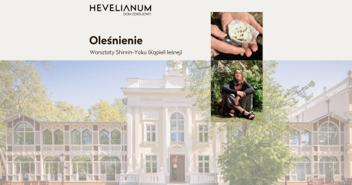 Oleśnienie. Warsztaty Shinrin-Yoku (Kąpieli leśnej)