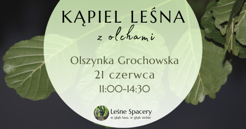 Leśna kąpiel z olchami. Leśne spacery. W głąb lasu, w głąb siebie.