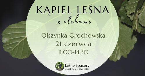 Leśna kąpiel z olchami. Leśne spacery. W głąb lasu, w głąb siebie.