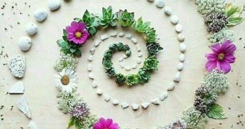 Warsztat: Zielone Źródła Mocy: Botaniczne Mandale DIY