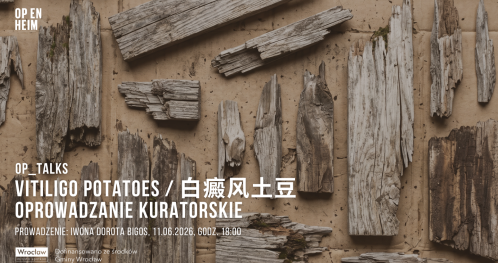 OP_TALKS | Vitiligo potatoes / 白癜风土豆 | Oprowadzanie kuratorskie