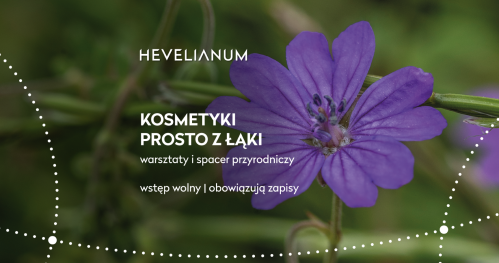 Kosmetyki prosto z łąki / Projekt Sianko z Katarzyną Banaś