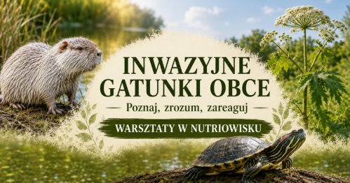 Inwazyjne gatunki obce - poznaj, zrozum, reaguj. Warsztaty w Nutriowisku