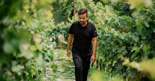 Najlepsze Prosecco 2025 roku i Mirco Balliana w Dzikim Winie