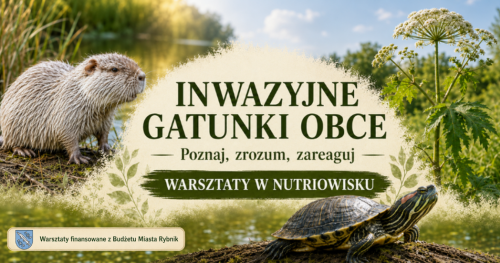 Inwazyjne gatunki obce - poznaj, zrozum, reaguj. Warsztaty w Nutriowisku