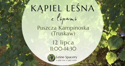 Leśna kąpiel z lipami. Leśne spacery. W głąb lasu, w głąb siebie.