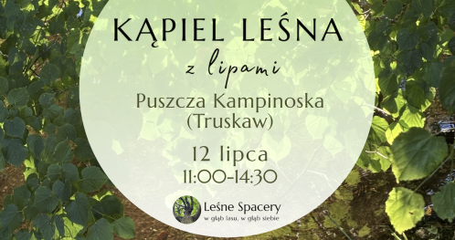 Leśna kąpiel z lipami. Leśne spacery. W głąb lasu, w głąb siebie.