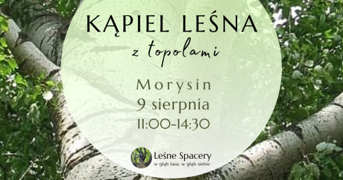Leśna kąpiel z topolami. Leśne spacery. W głąb lasu, w głąb siebie.