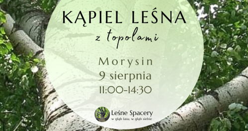 Leśna kąpiel z topolami. Leśne spacery. W głąb lasu, w głąb siebie.