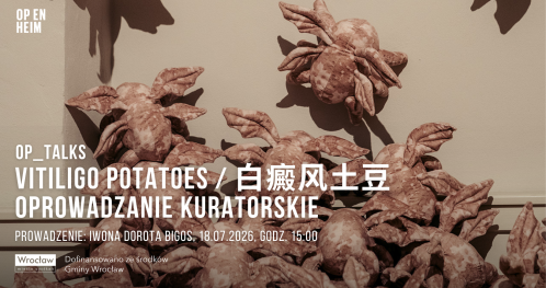 OP_TALKS | Vitiligo potatoes / 白癜风土豆 | Oprowadzanie kuratorskie