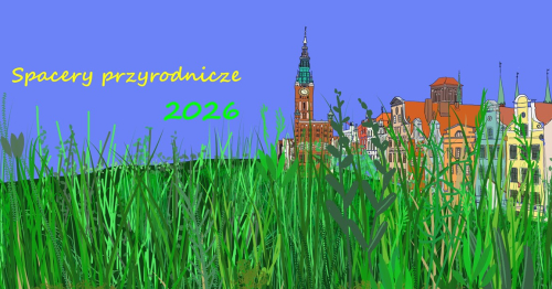 Funkcje parków i skwerów miejskich