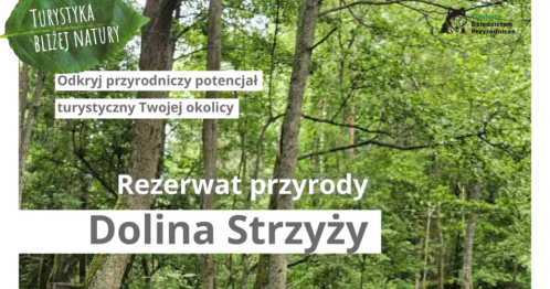 Turystyka bliżej natury / rezerwat Dolina Strzyży