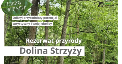 Turystyka bliżej natury / rezerwat Dolina Strzyży