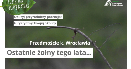 Turystyka bliżej natury / Ostatnie żołny tego lata!