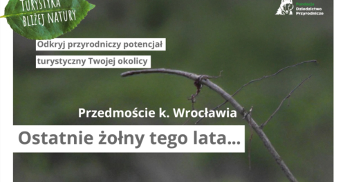 Turystyka bliżej natury / Ostatnie żołny tego lata!