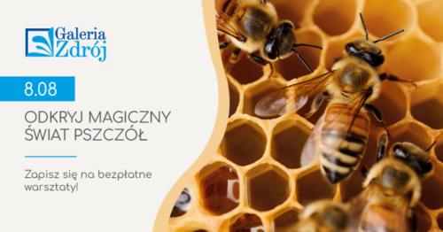 Warsztaty z okazji Dnia Pszczoły w Galerii Zdrój
